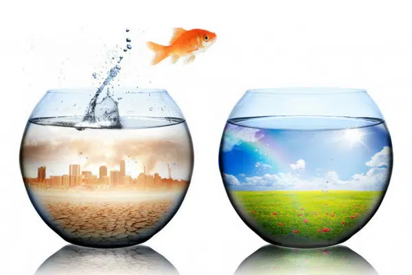Air Quality With Global Cooling & Plumbing+