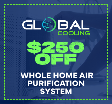 $250 off special coupon
