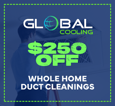 $250 off special